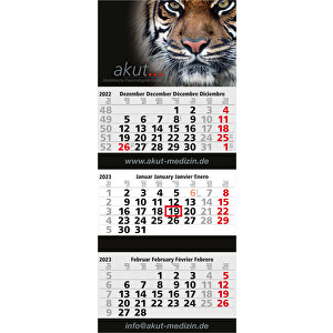 3-Monats-Kalender Maxi 3 Post Bestseller Inkl. 4C-Druck , hellgrau-rot, Papier, 80,50cm x 33,50cm (Länge x Breite)