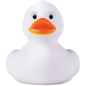 Canard