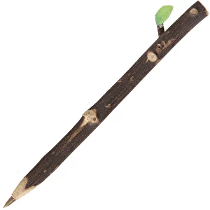 Stylo à bille à branches