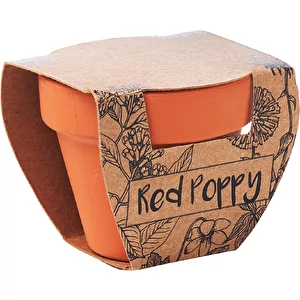 Red Poppy
