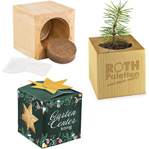 Planter Wood Star Box Xmas inkl ...