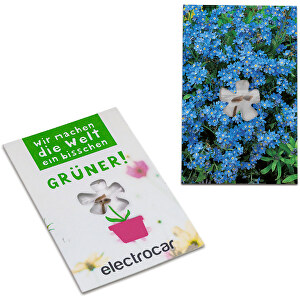 Samen-Karte-Mini Blume - Vergissmeinnicht , Saatgut, Papier, 6,30cm x 9,80cm (Länge x Breite)