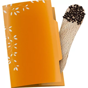 Crayon à planter avec graines - ...