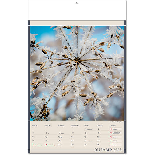 Calendario 'Reperti della natura' nel formato 24 x 37,5 cm, con pagine piegate, Immagine 13