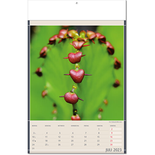 Calendario 'Reperti della natura' nel formato 24 x 37,5 cm, con pagine piegate, Immagine 8