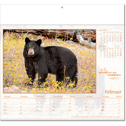 Bildkalender 'Tierwelt' , Papier, 27,00cm x 30,00cm (Höhe x Breite), Bild 3