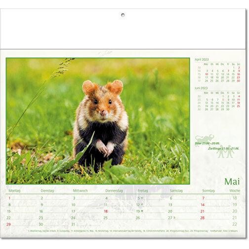 Calendario illustrato 'Mondo animale, Immagine 6