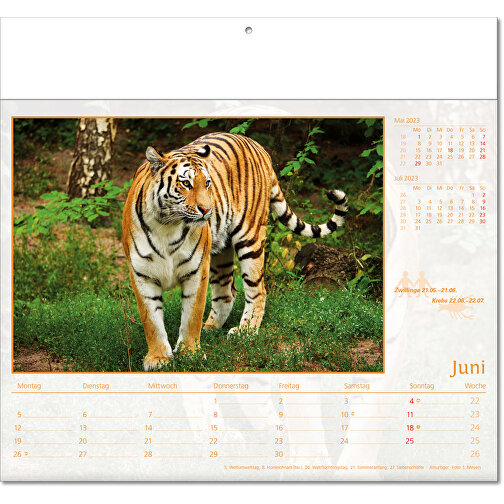 Bildkalender 'Tierwelt' , Papier, 27,00cm x 30,00cm (Höhe x Breite), Bild 7