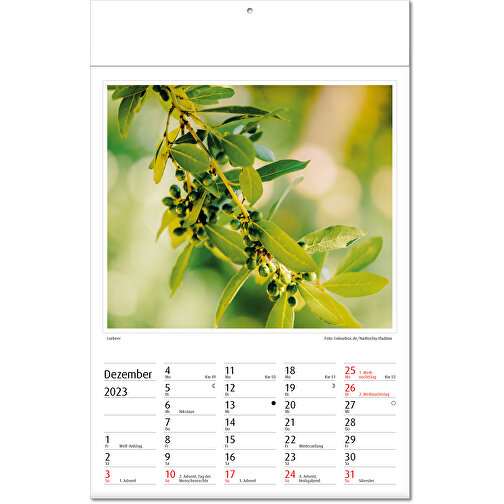 Kalendarz obrazkowy 'Botanica, Obraz 13