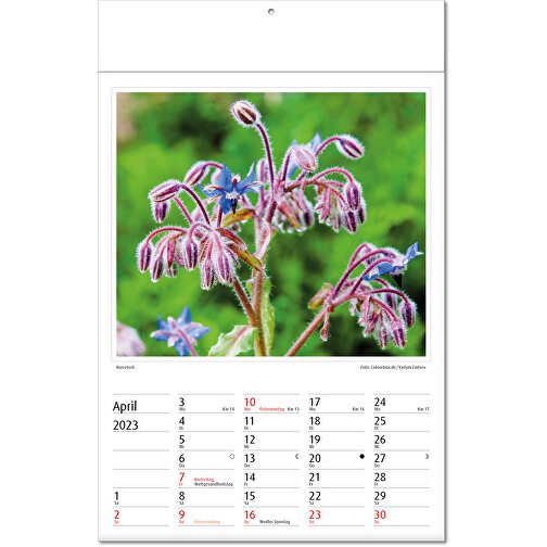 Kalendarz obrazkowy 'Botanica, Obraz 5