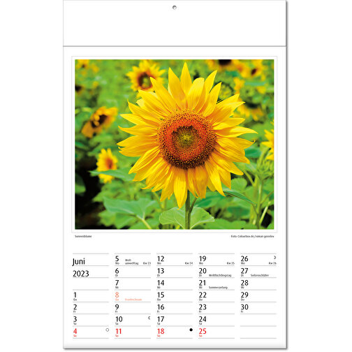 Kalendarz obrazkowy 'Botanica, Obraz 7
