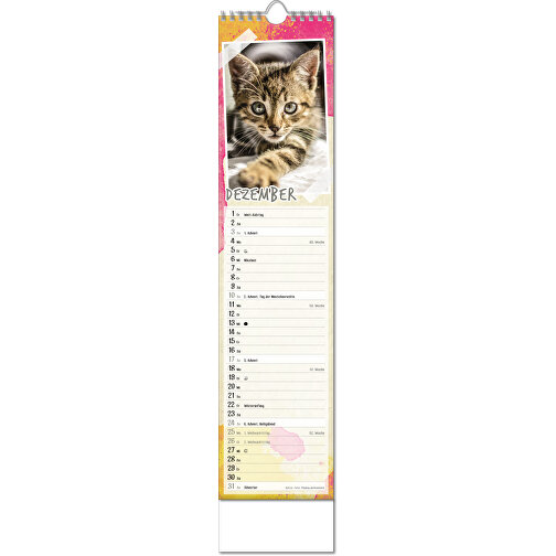 Bildkalender 'Tierbabys' , Papier, 49,00cm x 11,00cm (Höhe x Breite), Bild 13