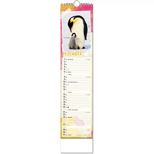 Calendrier photos 'Bébés animaux', Image 13