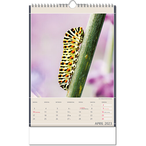 Kalender 'Naturfynd' i formatet 24 x 38,5 cm, med Wire-O-bindning, Bild 5