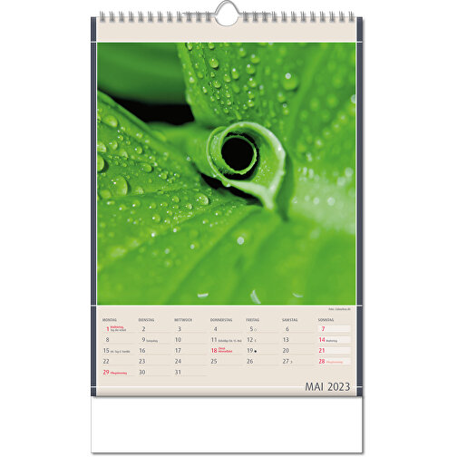 Kalender 'Naturfynd' i formatet 24 x 38,5 cm, med Wire-O-bindning, Bild 6