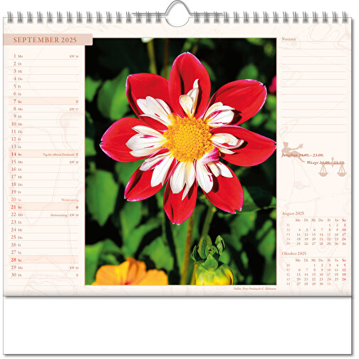 Bildkalender 'Blütenwelt' , Papier, 28,00cm x 30,00cm (Höhe x Breite), Bild 10