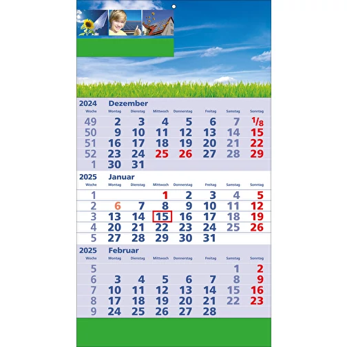 Standard 2 plus, Image 2