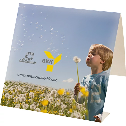 , Bild 7