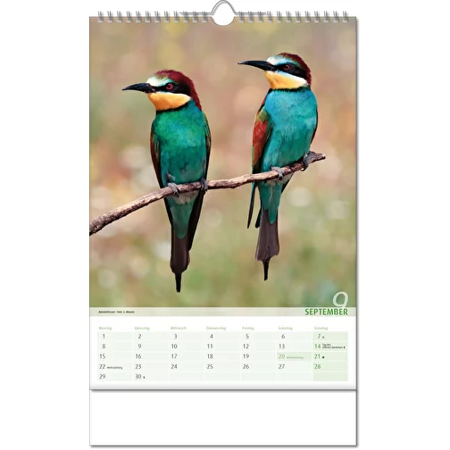 Calendrier 'Vue sur le royaume des animaux' au format 24 x 38,5 cm, avec reliure Wire-O, Image 10