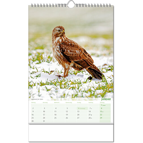 Calendario 'Vista sul regno animale' nel formato 24 x 38,5 cm, con rilegatura Wire-O, Immagine 2