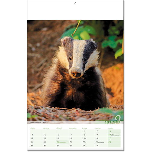 Calendario 'Vista sul regno animale' nel formato 24 x 37,5 cm, con copertina piegata, Immagine 10