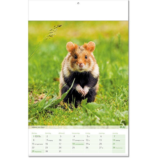 Calendario 'Vista al reino animal' en formato 24 x 37,5 cm, con tapa plegada, Imagen 6