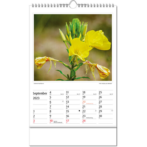 Calendario fotografico 'Botanica, Immagine 10