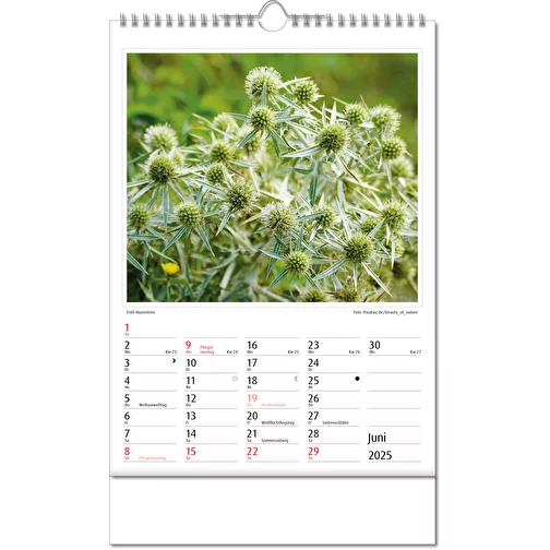 Calendrier photos 'Botanica', Image 7