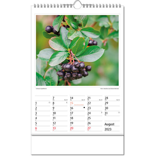 Calendario fotografico 'Botanica, Immagine 9