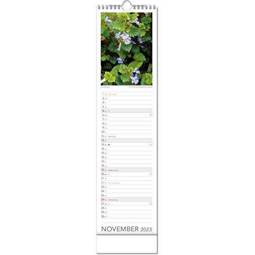 Bildkalender 'Tee & Heiltees' , Papier, 52,50cm x 13,00cm (Höhe x Breite), Bild 12