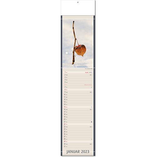 Calendrier 'Découvertes de la nature' au format 11 x 50 cm, avec plis, Image 2