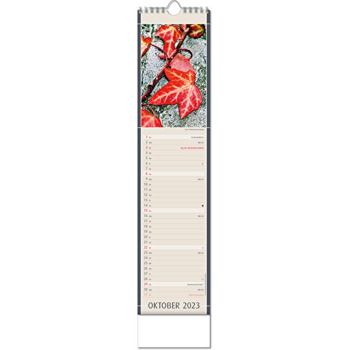 Kalender 'Fundstücke Der Natur' , Papier, 49,00cm x 11,00cm (Höhe x Breite), Bild 11