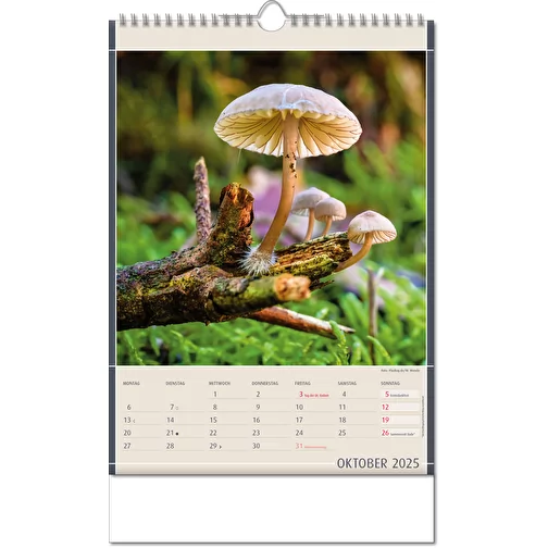 Calendrier 'Découvertes de la nature' au format 11 x 51 cm, avec reliure Wire-O, Image 11
