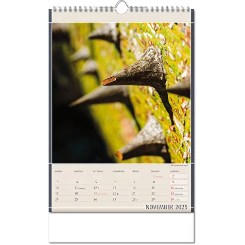 Calendrier 'Découvertes de la nature' au format 11 x 51 cm, avec reliure Wire-O, Image 12