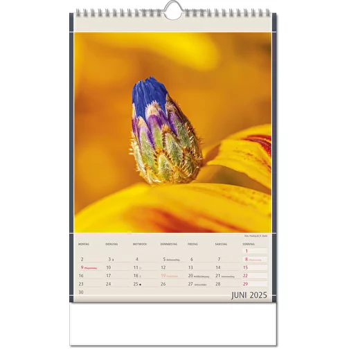 Calendrier 'Découvertes de la nature' au format 11 x 51 cm, avec reliure Wire-O, Image 7