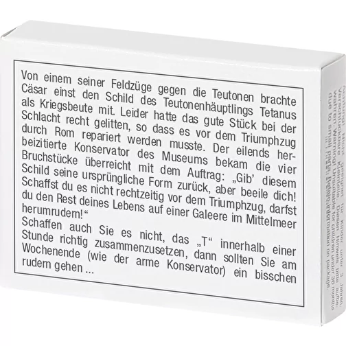 Le puzzle en T, Image 3