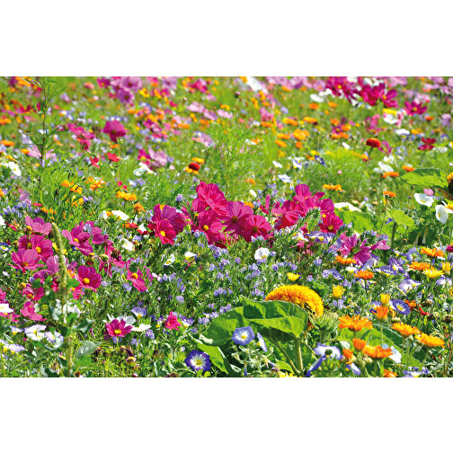 Plant-Tab Mit Samen - Sommerblumenmischung , individuell, Saatgut, Papier, Erde, 5,70cm x 5,70cm (Länge x Breite), Bild 2
