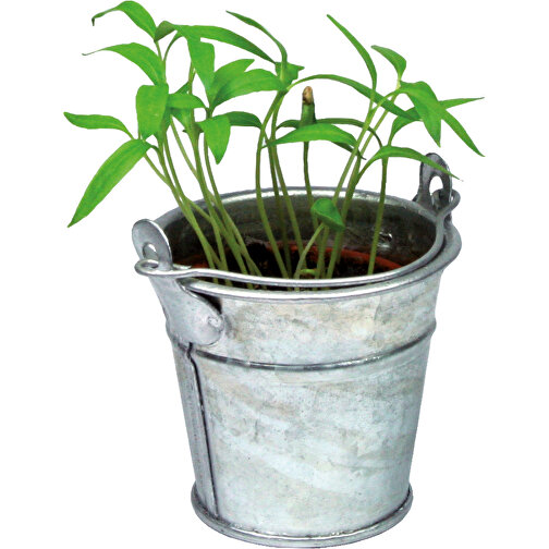 Pflanzeimerchen Mit Samen - Fichte , individuell, Zinkblech, Saatgut, Papier, Erde, 5,50cm (Höhe), Bild 5