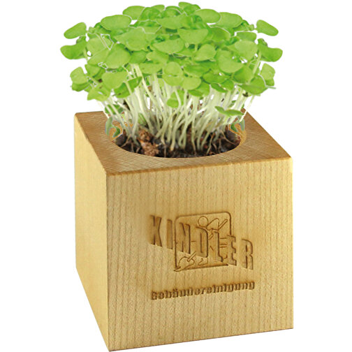 Pot cube bois maxi avec graines - Tournesol, Image 4