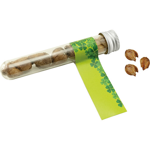 Reagenzglas Viel Glück , grün, Glas, Samen, Metall, Papier, 10,00cm (Höhe), Bild 1