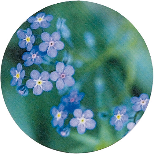 Florero-Töpfchen Mit Samen - Blau - Vergissmeinnicht , blau, Saatgut, Papier, Erde, Kunststoff, 5,00cm (Höhe), Bild 2