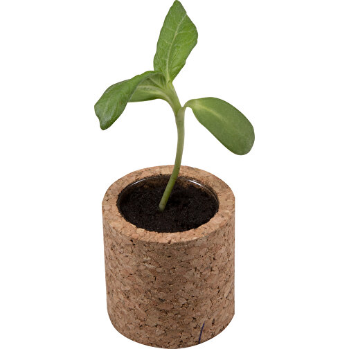 Pot rond en liège avec graines - Basilic, Image 1
