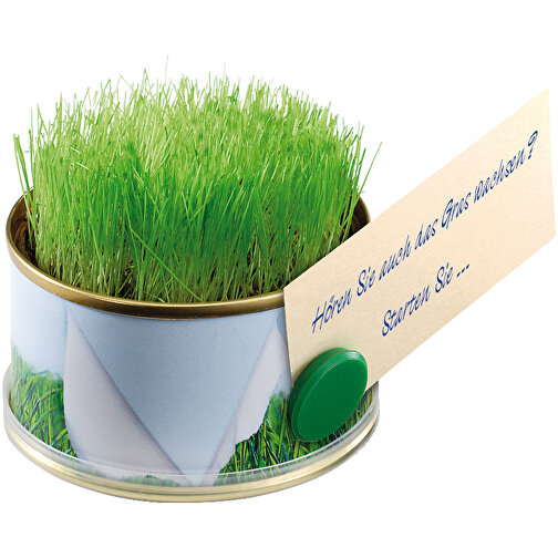 Minigarten Gras Mit Magnet , grün, Metall, Granulat, Samen, Papier, Kunststoff, 3,80cm (Höhe), Bild 1