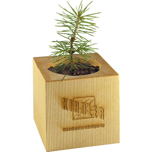Pot cube bois de bureau de Noël - Design standard - Epicéa - 2 sites gravés au laser, Image 1