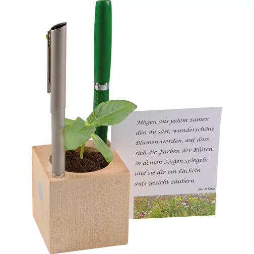 Pot cube bois de bureau avec graines - Myosotis, 2 sites gravés au laser, Image 2