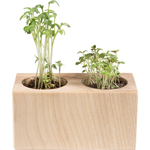 Plantering Wood Set of 2 - Solros, Bild 1