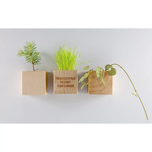 Pot cube bois mini avec aimant avec graines - Thym, 2 sites gravés au laser, Image 2