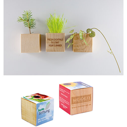 Pot cube bois mini avec aimant avec graines - Tournesol, 2 sites gravés au laser, Image 4