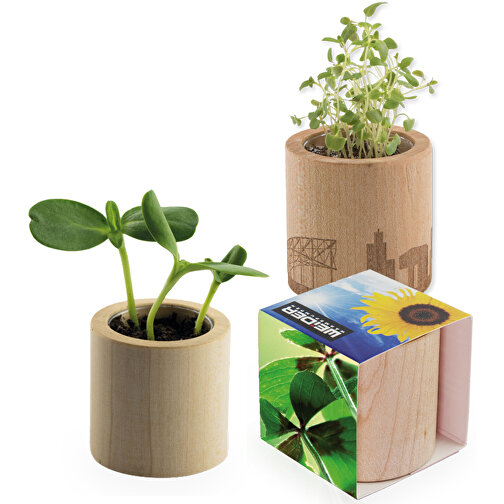 Pot rond en bois avec graines - Bulbes de trèfle à 4 feuilles, gravure laser, Image 1