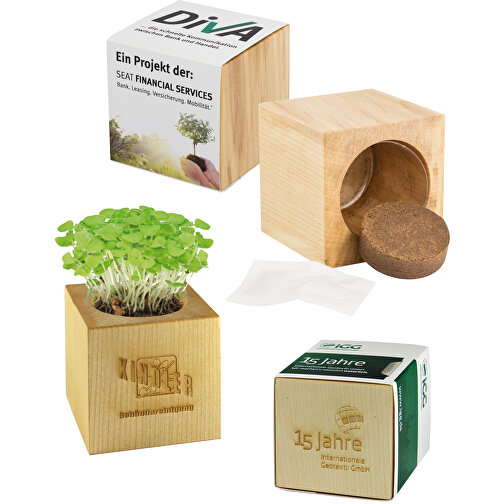Pot cube bois maxi avec graines - Cresson de jardin, 2 sites gravés au laser, Image 5